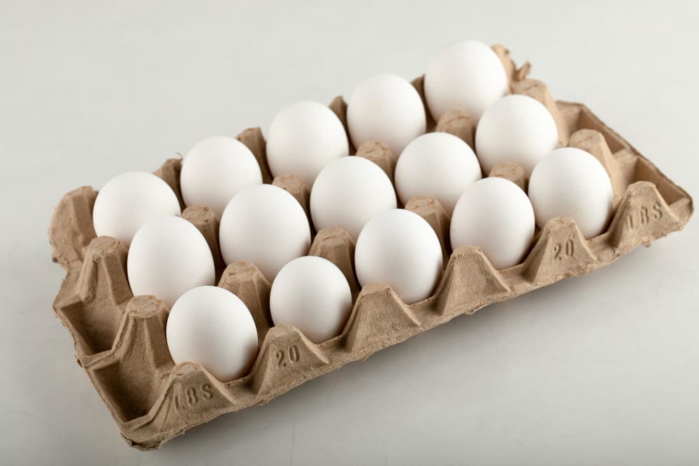 broiler eggs