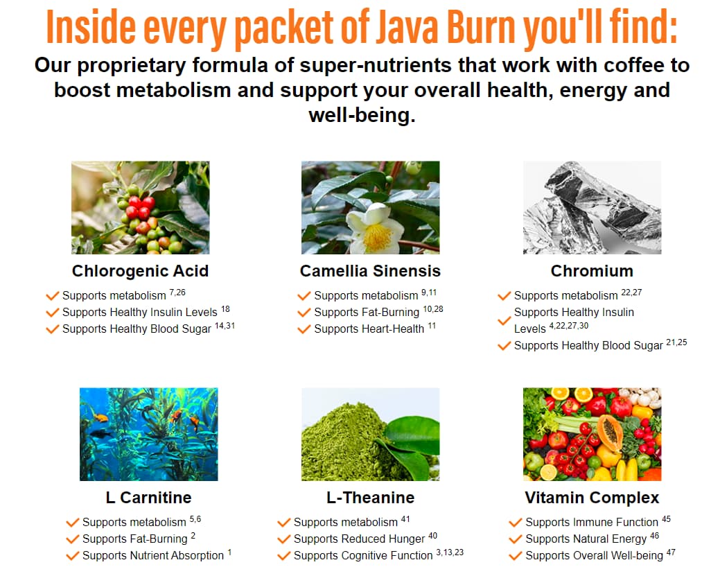 Java burn ingredients